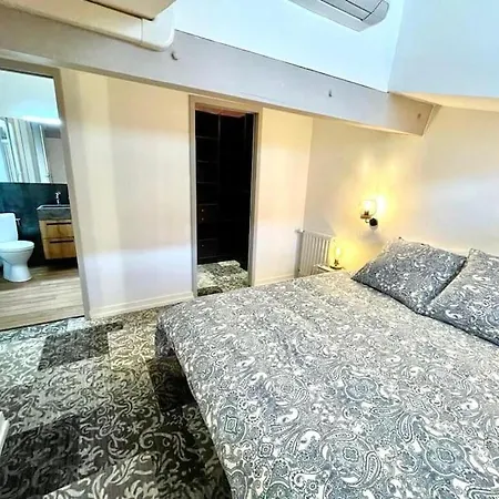 Beaux T2 Et T3 Climatises Dans Le Triangle D'or