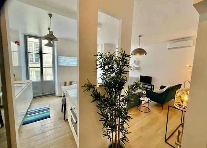 公寓 Beaux T2 Et T3 Climatises Dans Le Triangle D'or