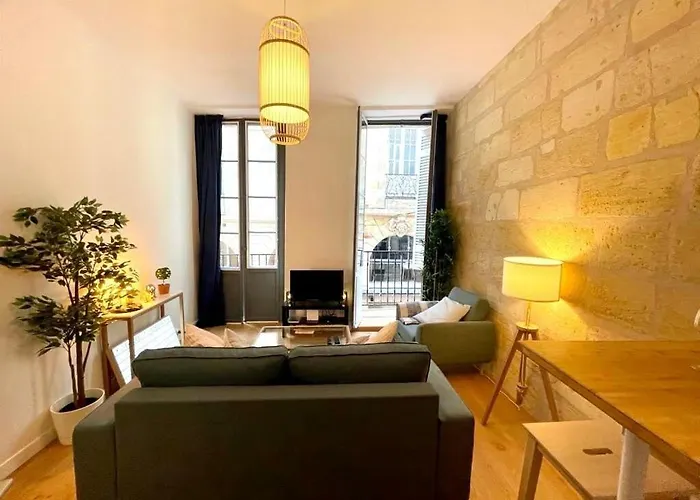 Beaux T2 Et T3 Climatises Dans Le Triangle D'or *