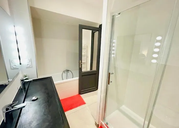 Beaux T2 Et T3 Climatises Dans Le Triangle D'or