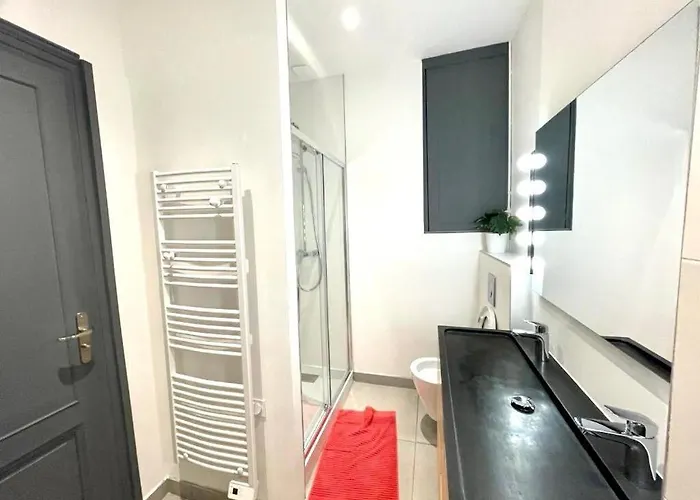 公寓 Beaux T2 Et T3 Climatises Dans Le Triangle D'or