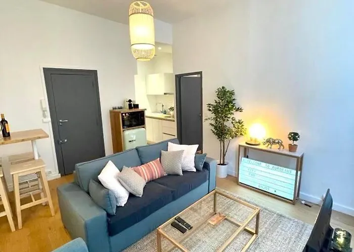 Apartment Beaux T2 Et T3 Climatises Dans Le Triangle D'or Bordeaux