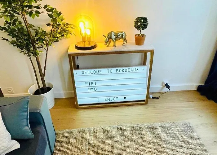 Beaux T2 Et T3 Climatises Dans Le Triangle D'or Bordeaux