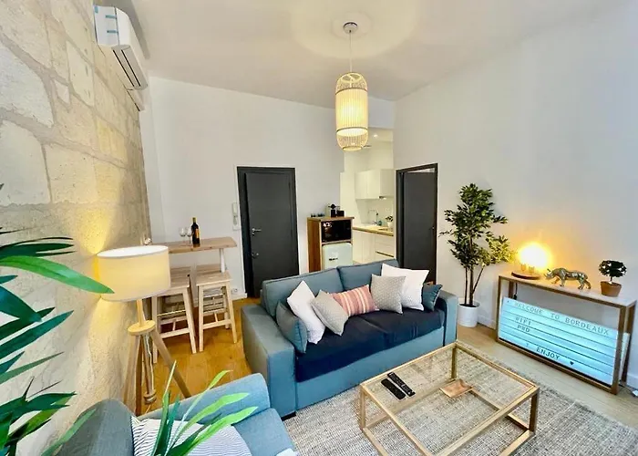 Beaux T2 Et T3 Climatises Dans Le Triangle D'or *