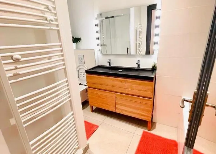 Beaux T2 Et T3 Climatisés Dans Le Triangle D'or * Burdeos